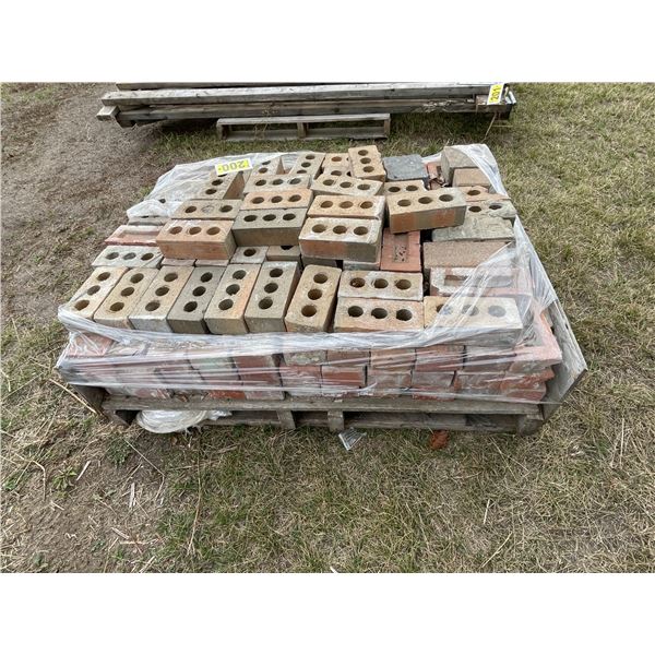Pallet of common brick