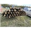Image 2 : Approx. 49- 3-4 in x 7 ft sharpened posts