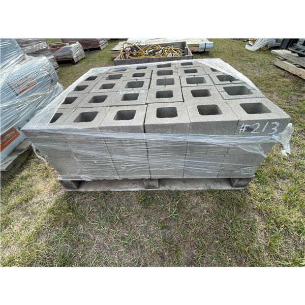Approx. 60 - 8x8 inch cement blocks