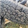 Image 6 : 6- 9.50R16.5 Tires
