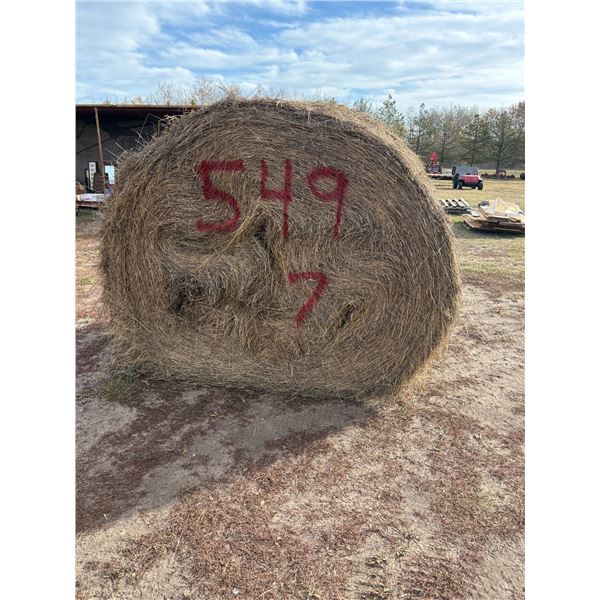 (So much each x7) 7- Approx. 14-1500 lb Rd bales, mixed hay from 2024, 1st cut. Located North Parkin