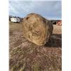 Image 3 : (So much each x7) 7- Approx. 14-1500 lb Rd bales, mixed hay from 2024, 1st cut. Located North Parkin