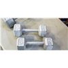 Image 2 : 15LB AND 20LB DUMBBELLS