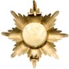 Image 3 : Breast Star. Military Division.
