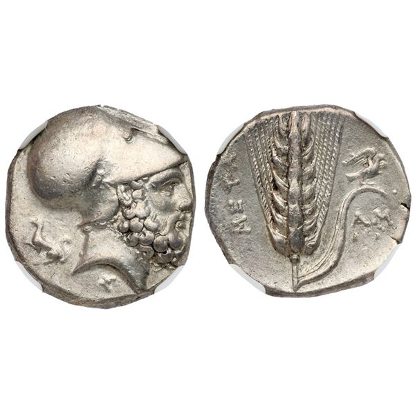 Lucania. Metapontion. Silver Stater, ca. 340-330 BC.