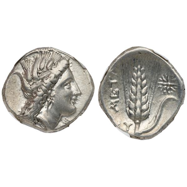 Lucania. Metapontion. Silver Stater, ca. 330-290 BC.