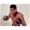 Image 1 : Muhammad Ali signed photo