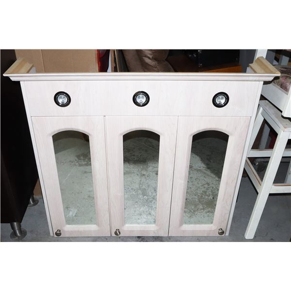 LIGHTED CABINET APPROX 36" TALL X 41" X 8"