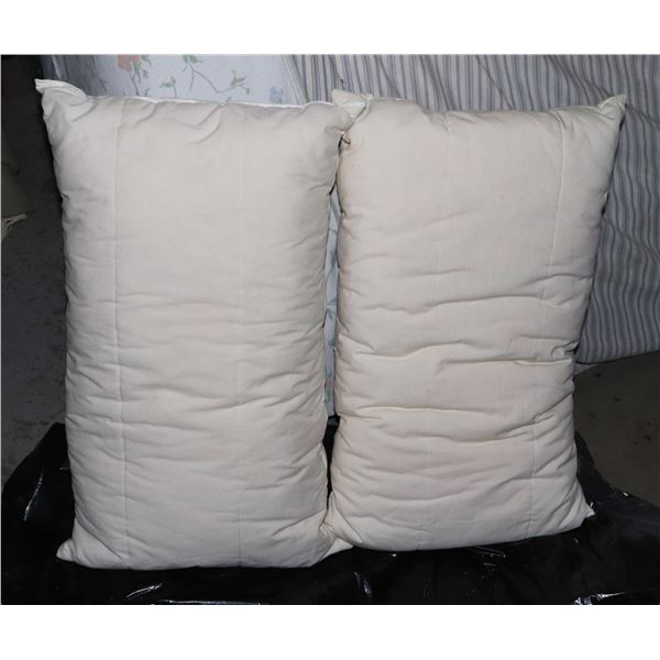 TWO USED PILLOWS