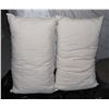 Image 1 : TWO USED PILLOWS
