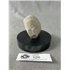 Image 2 : 2.5" Amethyst Geode On Base. Retails $380.00