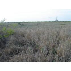 Port Property, Port of Brownsville!