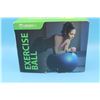 Image 1 : Exercise Ball