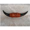 Image 1 : Cattle Horns