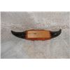 Image 2 : Cattle Horns