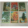 Image 1 : 6 Prints from 1940's National Geographic Magazine