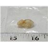 Image 2 : Small real bat skull