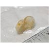 Image 3 : Small real bat skull