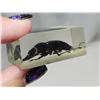 Image 3 : Real Mesotopus Tarnadus, in 2" resin block