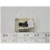 Image 1 : Real Japanese Borrowing cricket, in 2" resin block