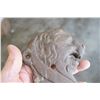 Image 2 : Cast Iron Lion Heads