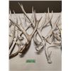 Image 3 : Deer sheds