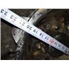 Image 3 : TRUCK CHROME  WHEEL RIMS