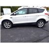 Image 3 : 2014 Ford Escape