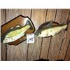 Image 1 : VINTAGE BILLY BASS & CARL CATFISH