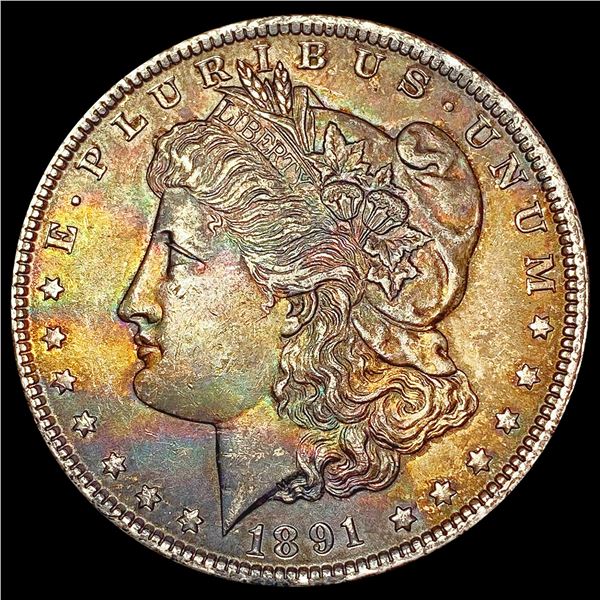 1891 Morgan Silver Dollar CHOICE AU