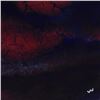 Image 2 : Nature by Wyland Original