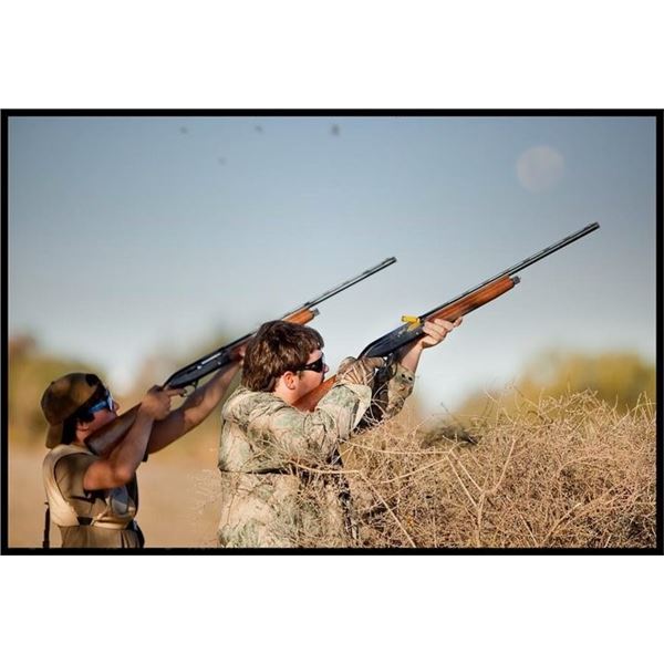 Sierra Brava High Volume Dove Hunt in Argentina with Fishing Upgrade Option