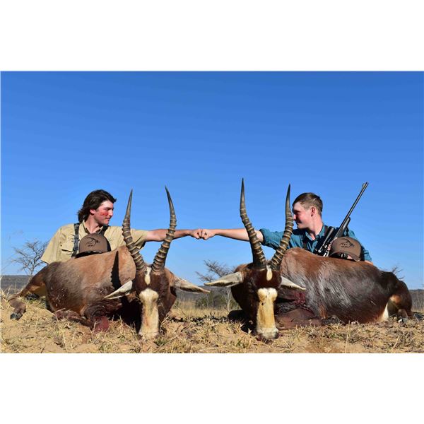Van Wijk South Africa 10 Day Blesbuck Hunt for 2