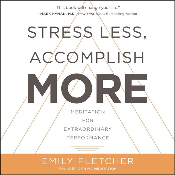 NEW AUGIO BOOK - STRESS LESS, ACCCOMPLISH MORE