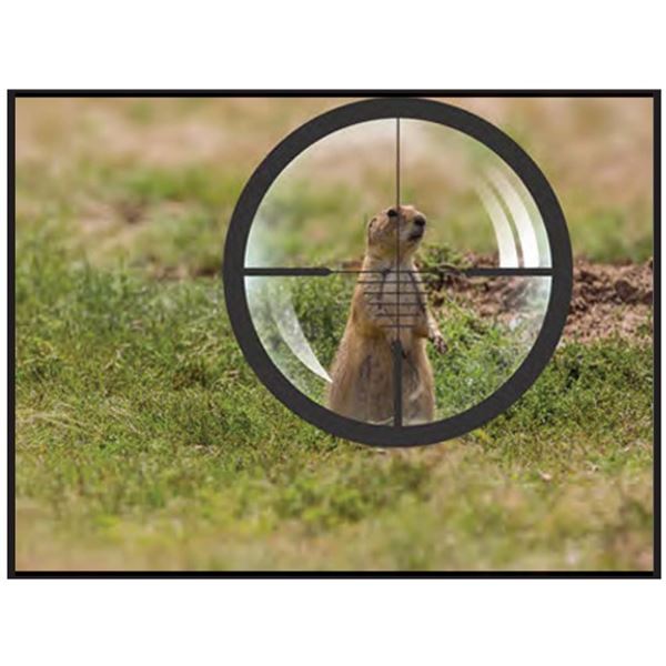 Prairie Dog Hunt for Two