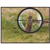 Image 1 : Prairie Dog Hunt for Two
