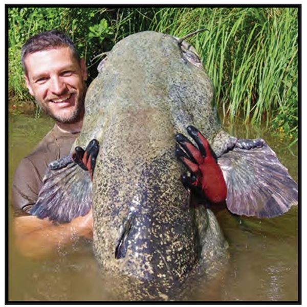 Catfish Noodling for Two