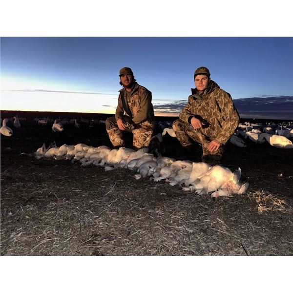 Nebraska Snow Goose Hunt