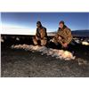 Image 1 : Nebraska Snow Goose Hunt