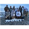 Image 4 : Nebraska Snow Goose Hunt