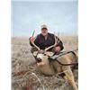 Image 2 : Nebraska Whitetail or Mule Deer Hunt