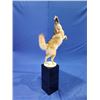 Image 1 : $1,000 Credit for Taxidermy Work