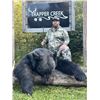 Image 2 : Black Bear Hunt in Saskatchewan