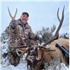 Image 1 : New Mexico Elk Hunt