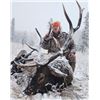 Image 2 : New Mexico Elk Hunt