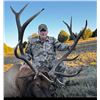 Image 3 : New Mexico Elk Hunt