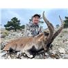Image 2 : Ibex Hunt in Spain for Two hunters