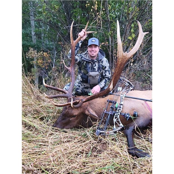 Archery Elk Hunt with Lone Wolf Guide Service in Montana