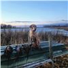 Image 1 : Double P Ranch Pheasant and Partridge Hunt in South Dakota