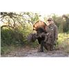 Image 1 : Osceola Turkey Hunt for Two with Elk River Outfitters